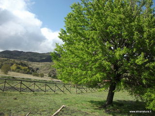 Monte Vetore